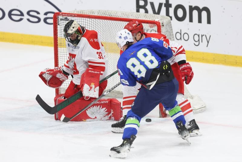 Ice Hockey. Friendly Match. Poland - Slovenia. 19.04.2024
