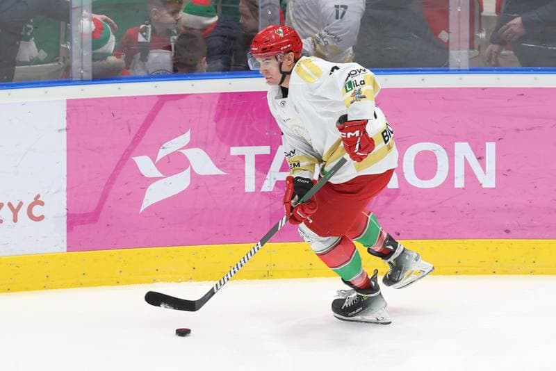 Ice Hockey. Tauron Hokej Liga. Zaglebie Sosnowiec - GKS Katowice. 21.01.2024