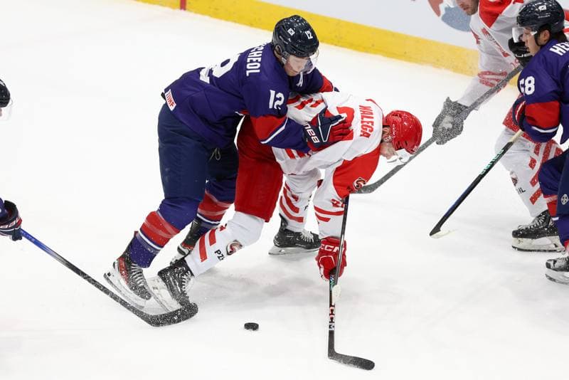 Ice Hockey. Friendly Match. Poland - South Korea. 05.02.2024