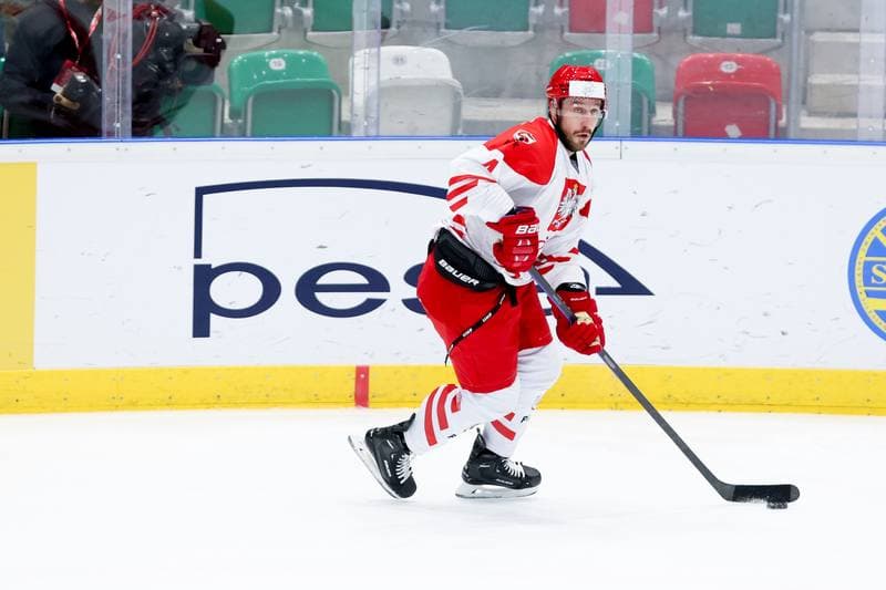Ice Hockey. Olympic Qualification. Poland - Estonia. 08.02.2024