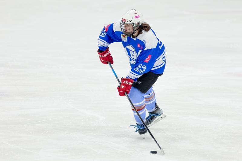 Ice Hockey. Tauron Liga. Kojotki Naprzod Janow - Stoczniowiec Gdansk. 24.02.2024