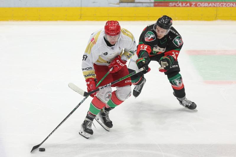 Ice Hockey. Tauron Hokej Liga. Zaglebie Sosnowiec - GKS Tychy. 27.02.2024