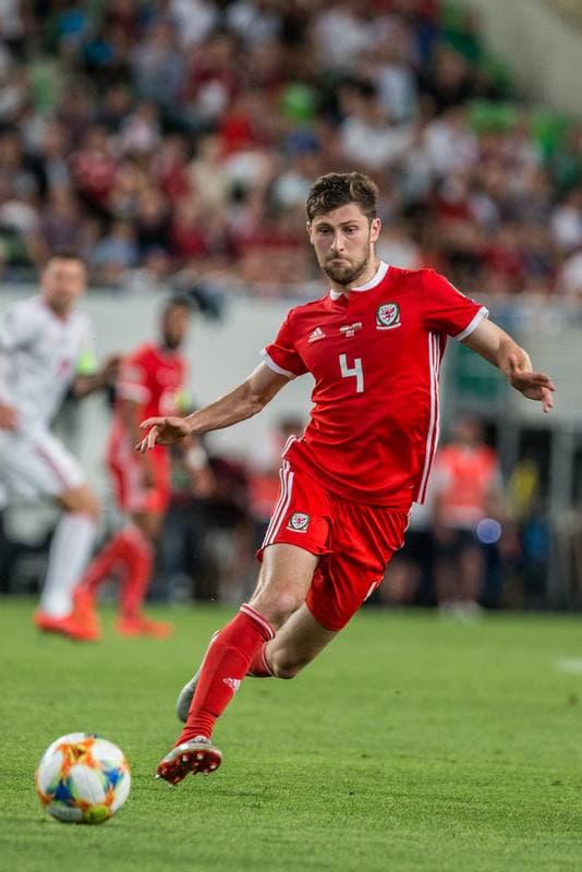 Football. Euro 2020 Qualifiers. Hungary - Wales. 11.06.2019
