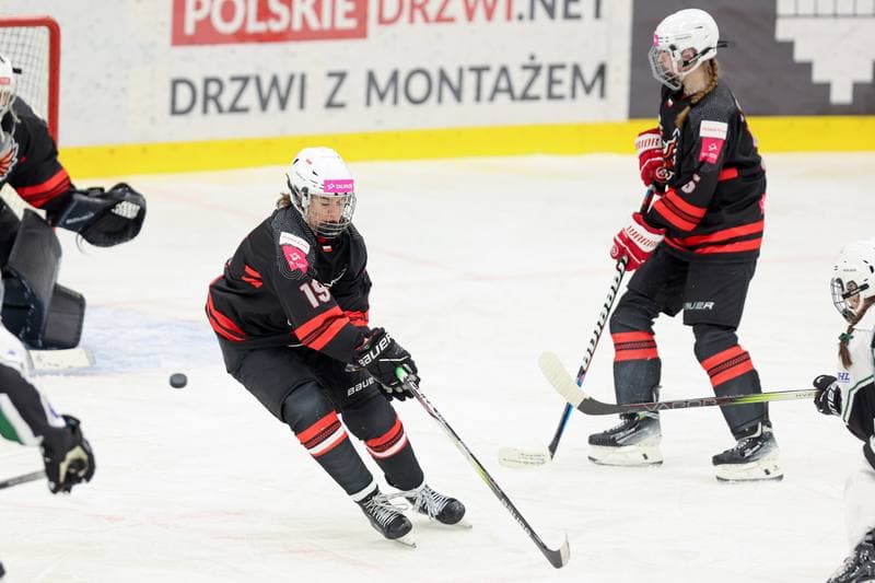 Ice Hockey. EWHL. Tauron Metropolia Silesia - EC Graz Huskies. 02.03.2024