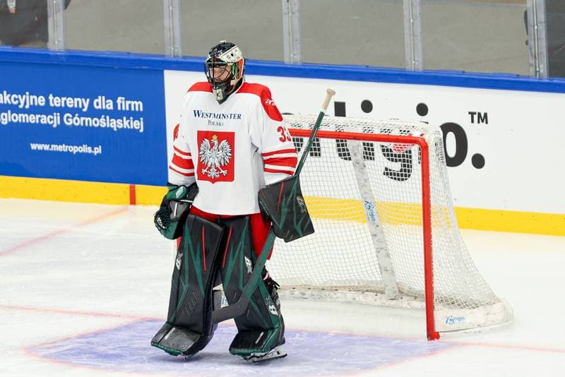 Ice Hockey. Friendly Match. Poland - Hungary. 12.04.2024