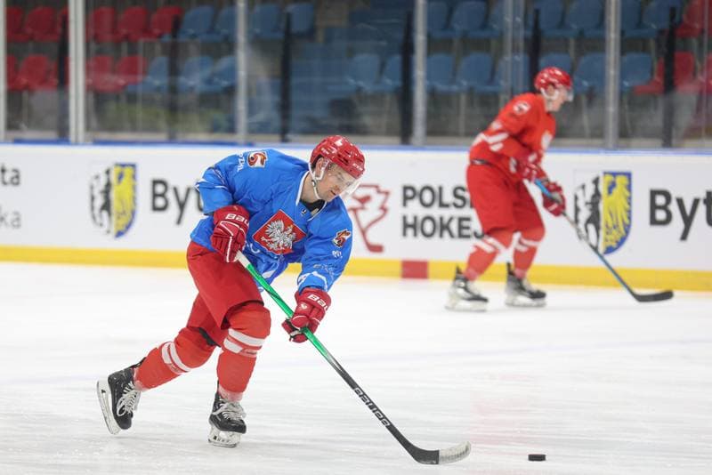Ice Hockey. Poland national team. Training. 22.04.2024