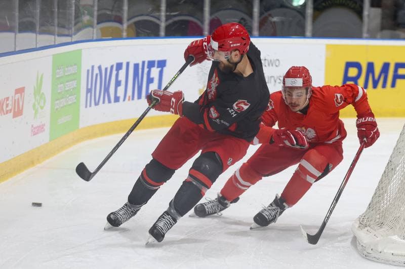 Ice Hockey. Poland national team. Training. 22.04.2024