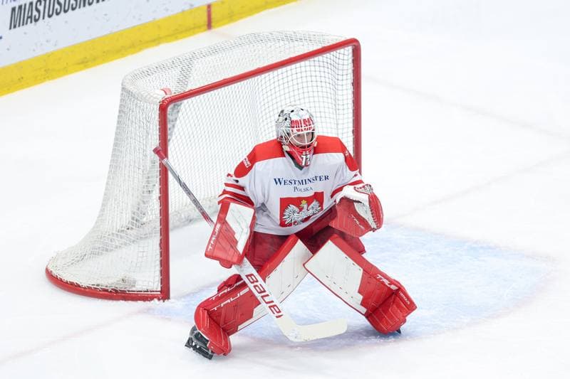Ice Hockey. Friendly Match. Poland - Denmark. 07.05.2024
