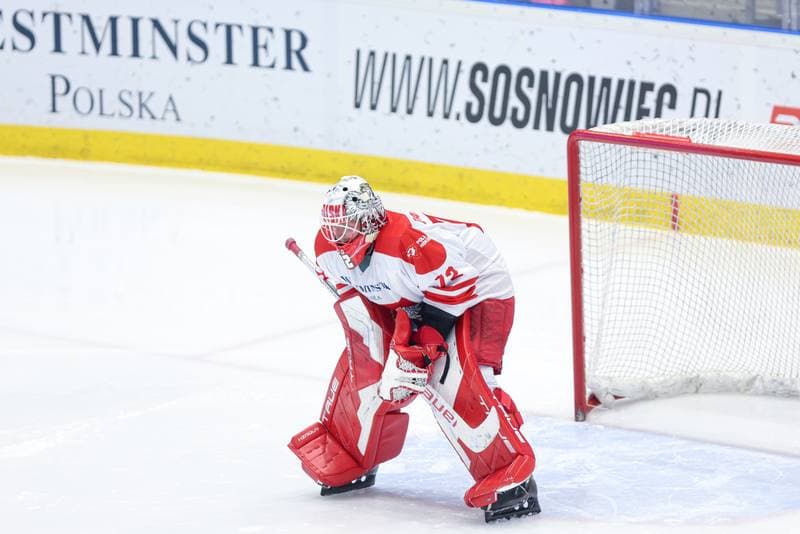 Ice Hockey. Friendly Match. Poland - Denmark. 07.05.2024