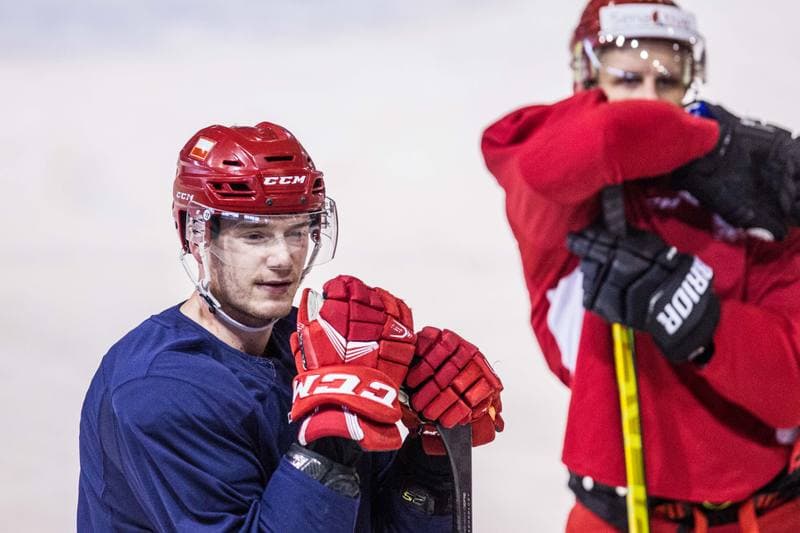 Ice Hockey. Poland national team. Training. 14.12.2020