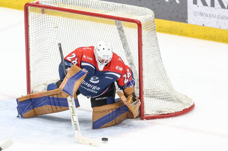 Ice Hockey. Tauron Hokej Liga. EC Bedzin Zaglebie Sosnowiec - KH Energa Torun. 19.01.2025