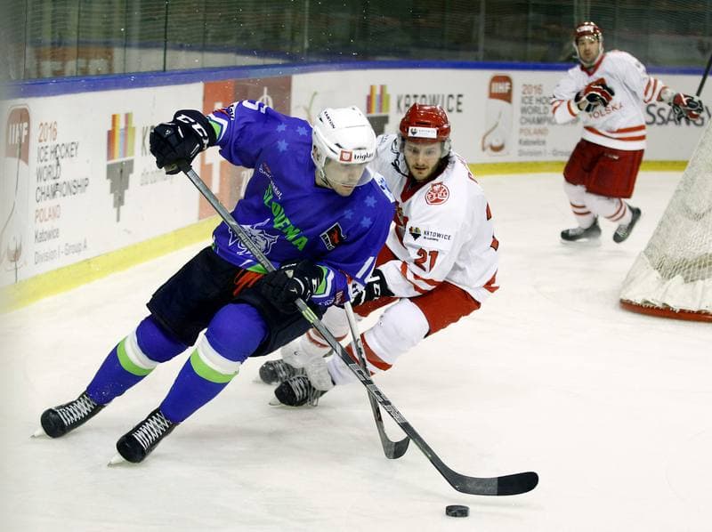 Ice Hockey. Euro Ice Hockey Challenge. Poland - Slovenia. 05.11.2015