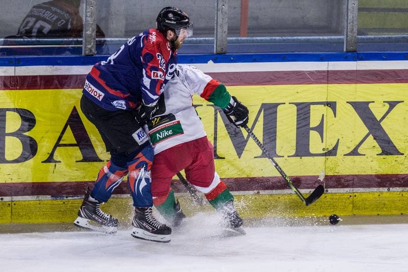 Ice Hockey. PHL. Zaglebie Sosnowiec - KH Energa Torun. 28.01.2022