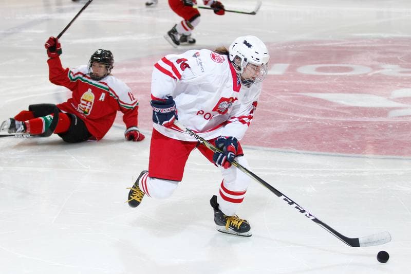 Ice Hockey. TCN. Poland - Hungary. 18.02.2018