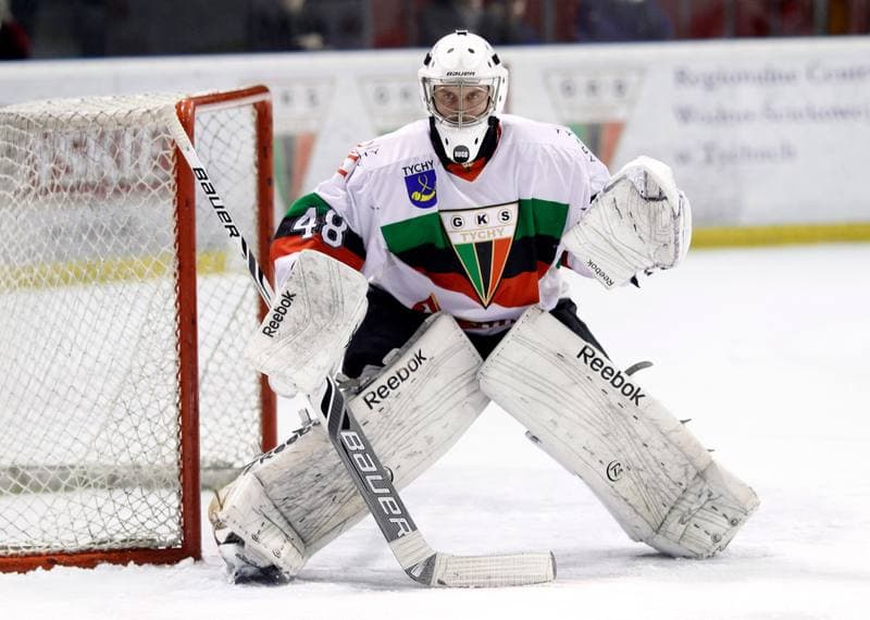 Ice Hockey. Polska Hokej Liga. GKS Tychy - Comarch Cracovia Krakow. 30.01.2015