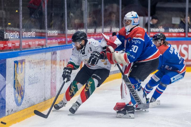 Ice Hockey. Polska Hokej Liga. GKS Tychy - Marma Ciarko STS Sanok. 04.11.2022