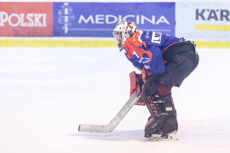 Ice Hockey. PHL. Comarch Cracovia - KH Energa Torun. 06.11.2022