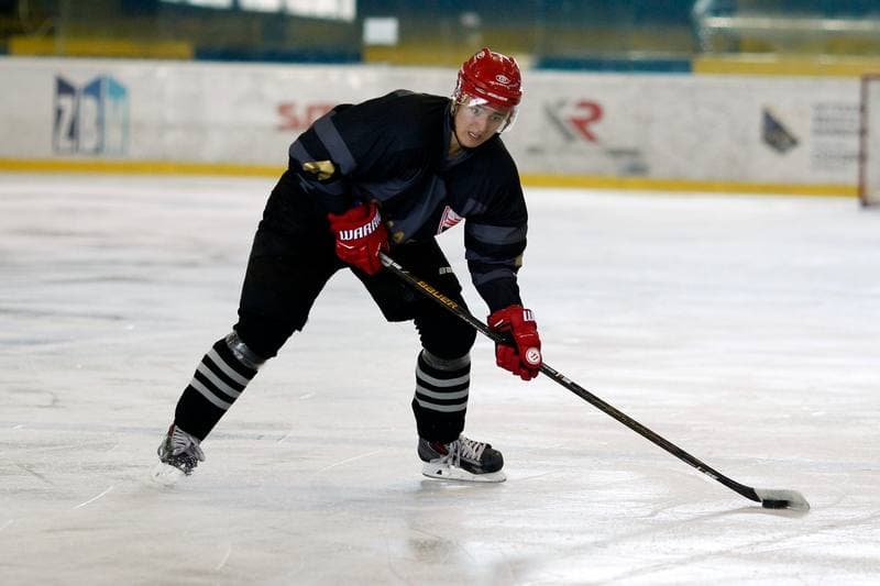 Ice Hockey. Sparing. Polonia Bytom - Comarch Cracovia. 15.08.2017