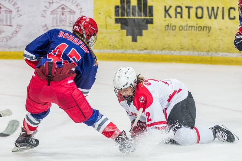 Ice Hockey. EWHL. Silesia Brackens - EVB Eagles. 29.09.2019