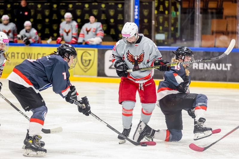 Ice Hockey. EWHL. Tauron Metropolia Silesia - Budapest Jegkorong Akademia. 22.10.2023