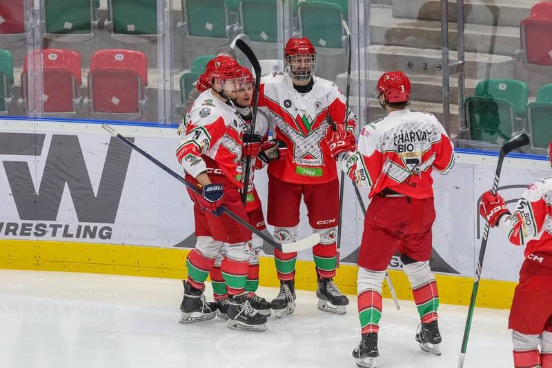 Ice Hockey. Tauron Hokej Liga. Zaglebie Sosnowiec - Comarch Cracovia. 19.11.2023