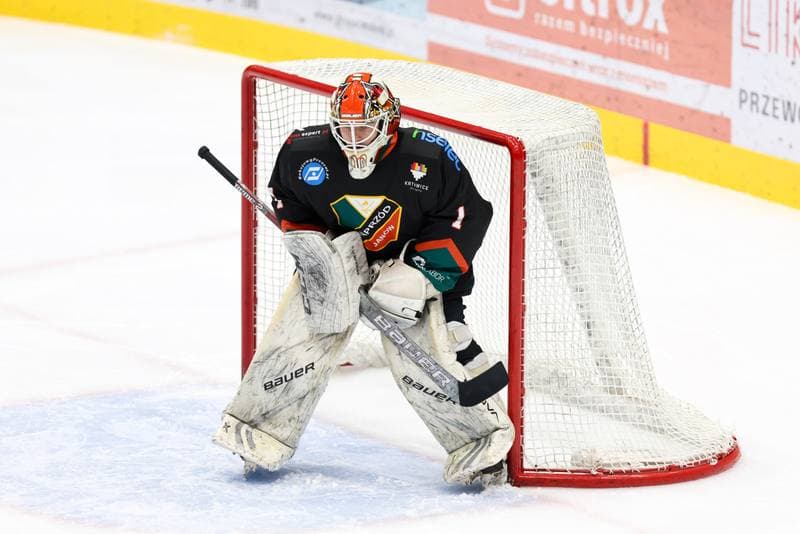 Ice Hockey. MHL. Zaglebie Sosnowiec - Naprzod Janow Katowice. 06.01.2024