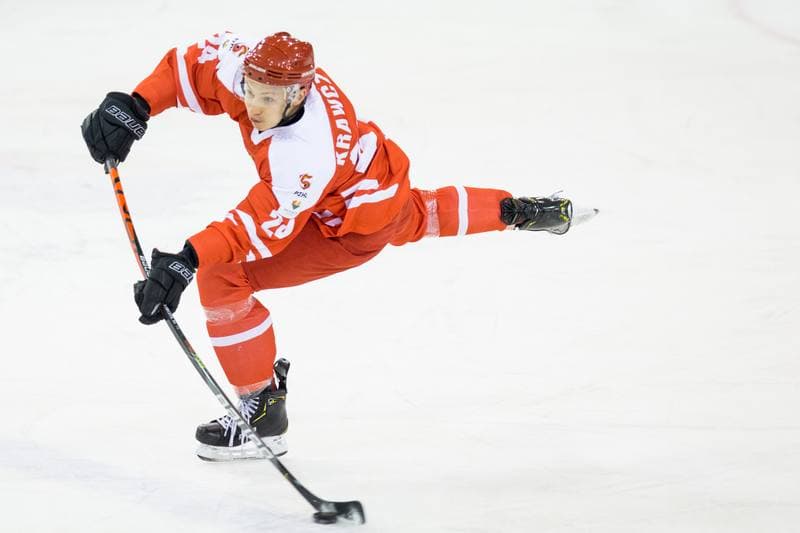 Ice Hockey. International Friendly. Poland - Hungary. 18.12.2020