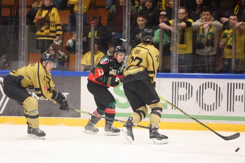 Ice Hockey. Tauron Hokej Liga. GKS Katowice - GKS Tychy. 28.01.2024