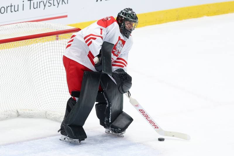 Ice Hockey. Friendly Match. Poland - South Korea. 05.02.2024