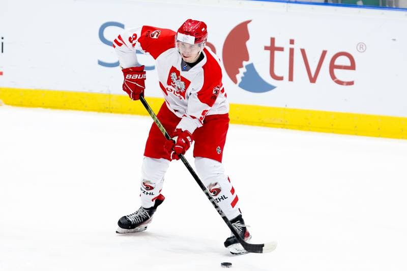 Ice Hockey. Olympic Qualification. Poland - Estonia. 08.02.2024