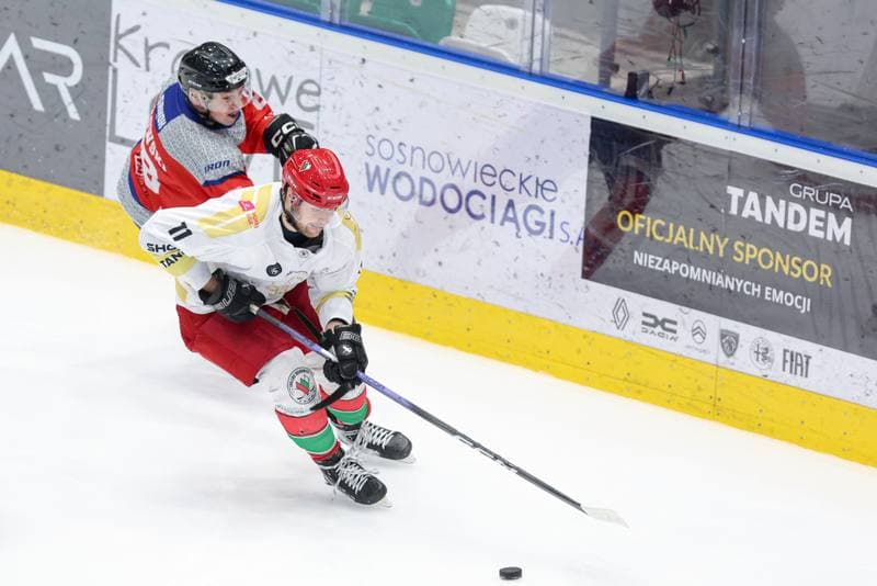 Ice Hockey. Tauron Hokej Liga. Zaglebie Sosnowiec - Marma Ciarko STS Sanok. 23.02.2024