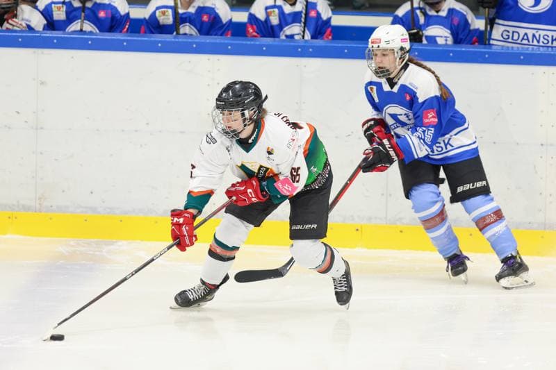 Ice Hockey. Tauron Liga. Kojotki Naprzod Janow - Stoczniowiec Gdansk. 24.02.2024
