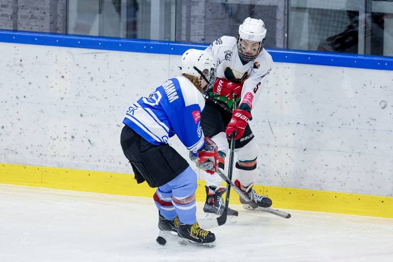 Ice Hockey. Tauron Liga. Kojotki Naprzod Janow - Stoczniowiec Gdansk. 24.02.2024