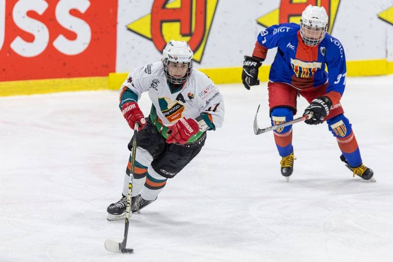 Ice Hockey. PLHK. Kojotki Naprzod Janow - BS Polonia Bytom. 09.11.2022