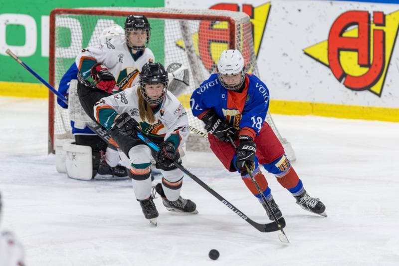 Ice Hockey. PLHK. Kojotki Naprzod Janow - BS Polonia Bytom. 09.11.2022