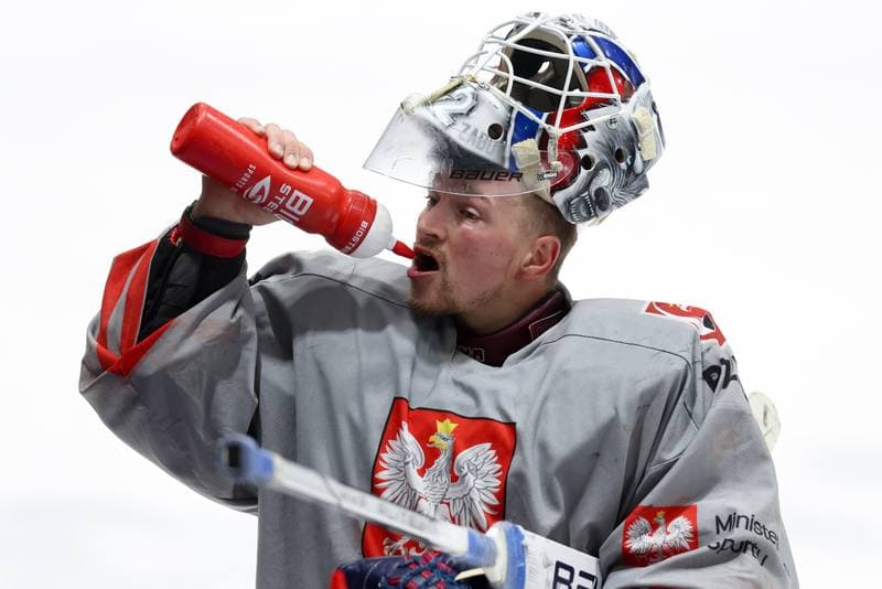 Ice Hockey. Poland national team. Training. 02.04.2024
