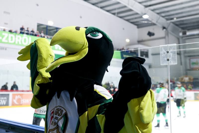 Ice Hockey. Tauron Hokej Liga. JKH GKS Jastrzebie - GKS Tychy. 04.04.2024