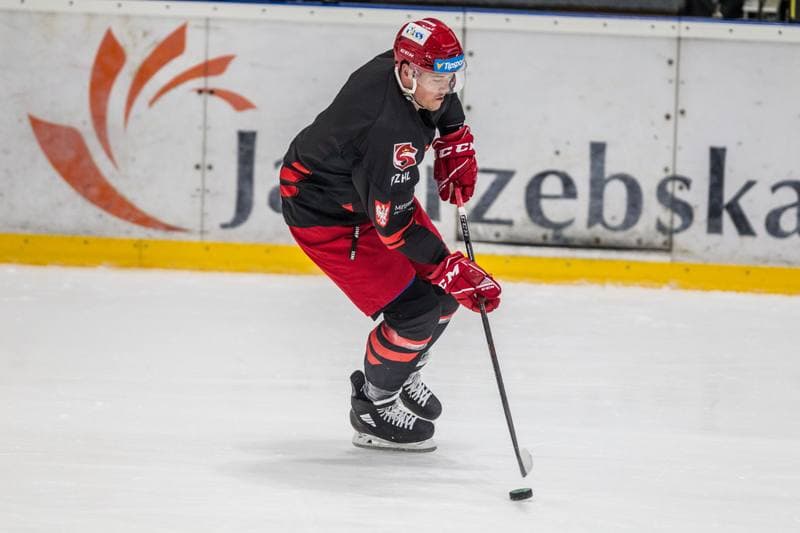 Ice Hockey. Poland national team. Training. 11.05.2021