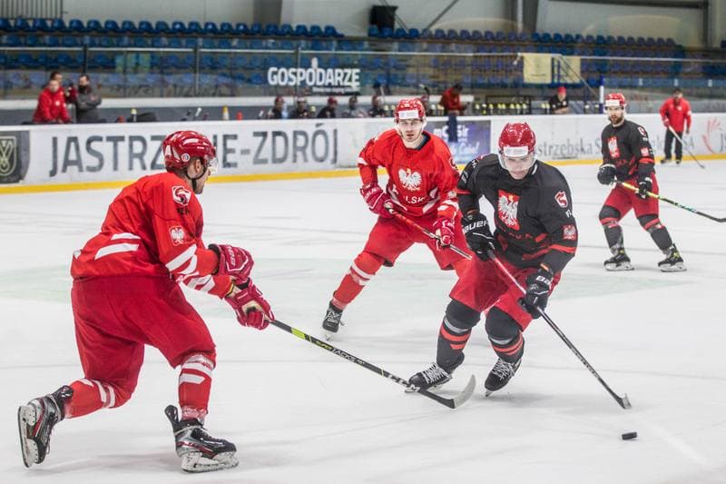 Ice Hockey. Poland national team. Training. 11.05.2021