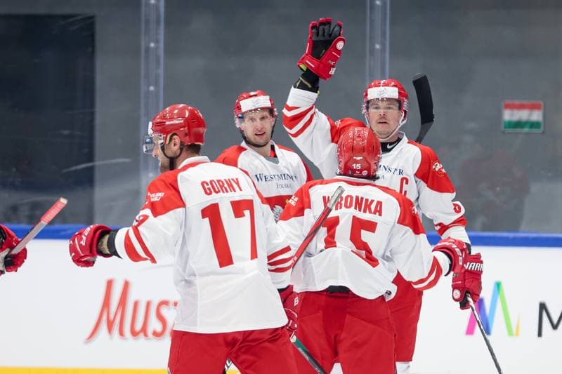 Ice Hockey. Friendly Match. Poland - Hungary. 12.04.2024