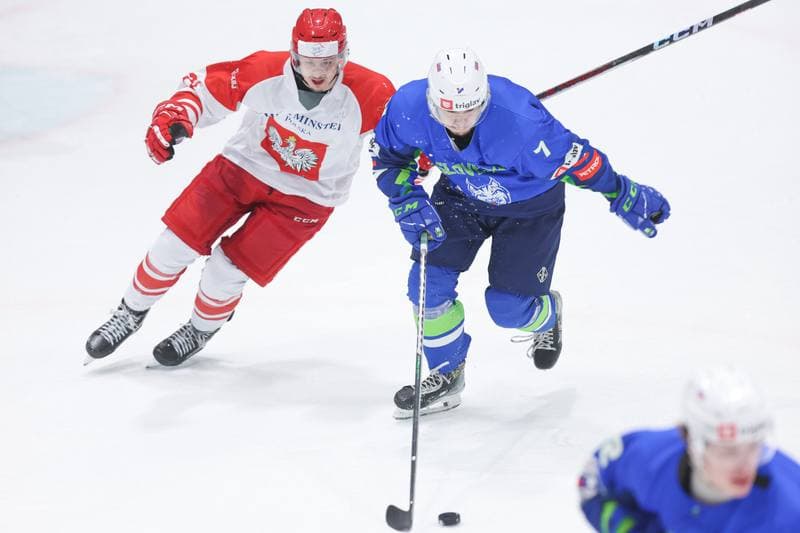 Ice Hockey. Friendly Match. Poland - Slovenia. 18.04.2024
