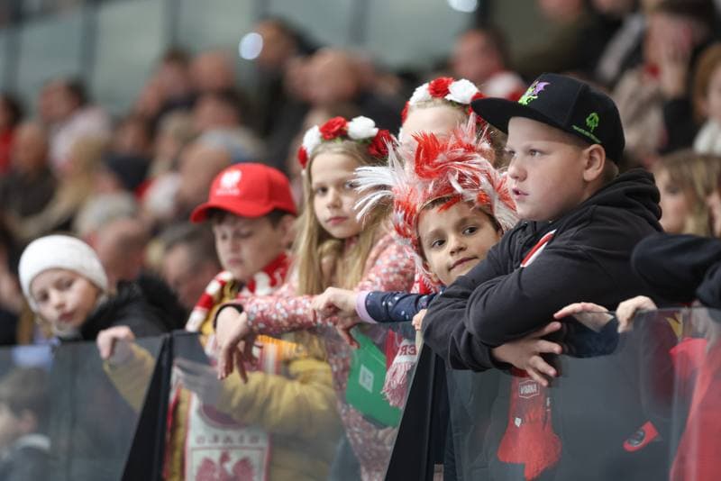 Ice Hockey. Friendly Match. Poland - Slovenia. 19.04.2024