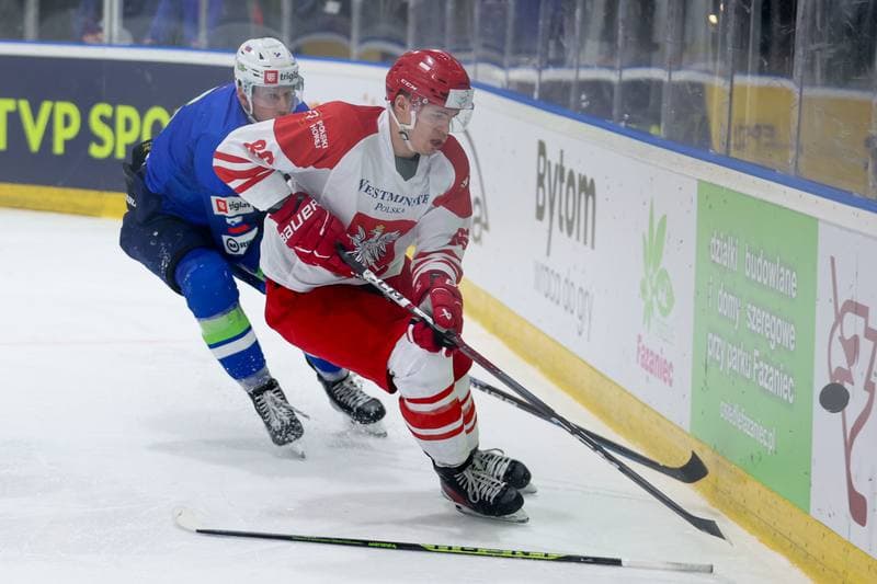 Ice Hockey. Friendly Match. Poland - Slovenia. 19.04.2024