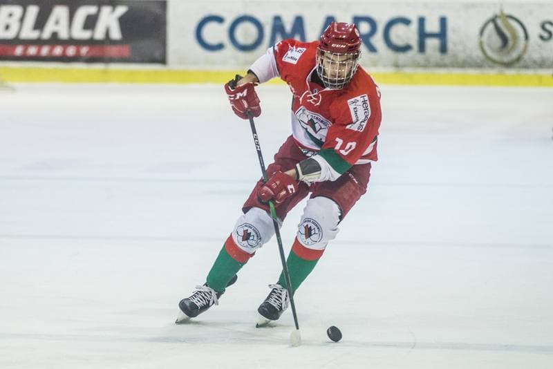 Ice Hockey. PHL. Comarch Cracovia - Zaglebie Sosnowiec. 05.11.2021