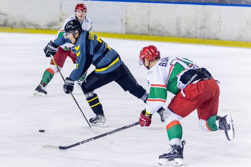 Ice Hockey. PHL. Zaglebie Sosnowiec - GKS Katowice. 08.01.2023