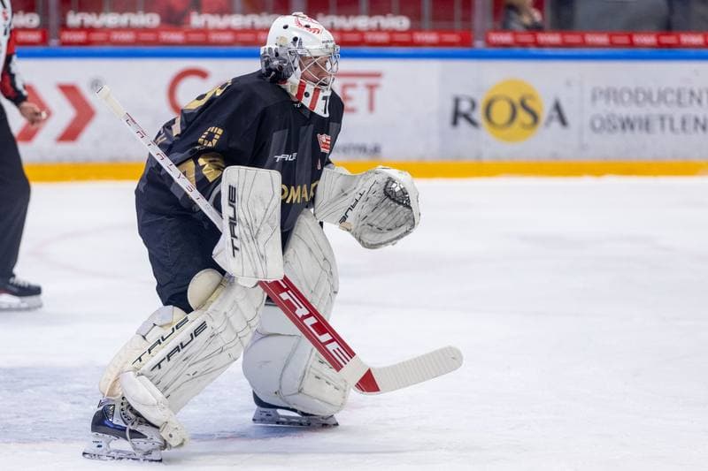 Ice Hockey. PHL. GKS Tychy - Comarch Cracovia. 29.11.2022