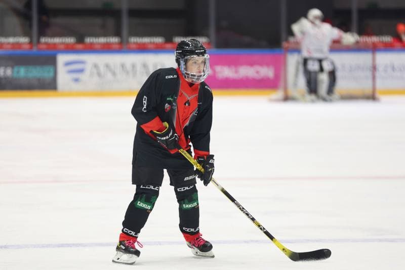 Ice Hockey. Charity Match. Hokejowa Kadra Artystow Polskich - Przyjaciele WOSP. 20.01.2024