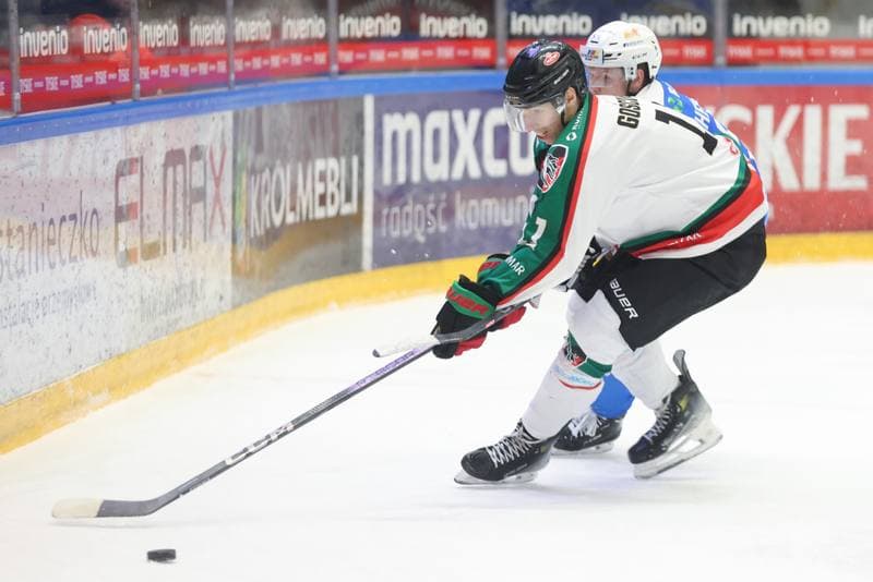 Ice Hockey. Tauron Hokej Liga. GKS Tychy - Re-Plast Unia Oswiecim. 14.02.2024