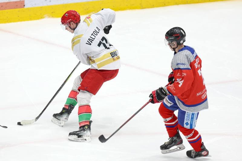 Ice Hockey. Tauron Hokej Liga. Zaglebie Sosnowiec - Marma Ciarko STS Sanok. 23.02.2024