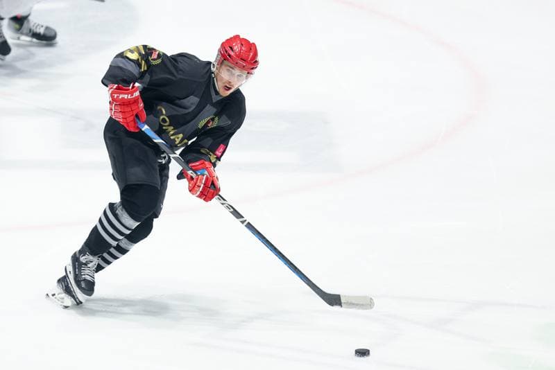 Ice Hockey. Tauron Hokej Liga. Re-Plast Unia Oswiecim - Comarch Cracovia. 01.03.2024
